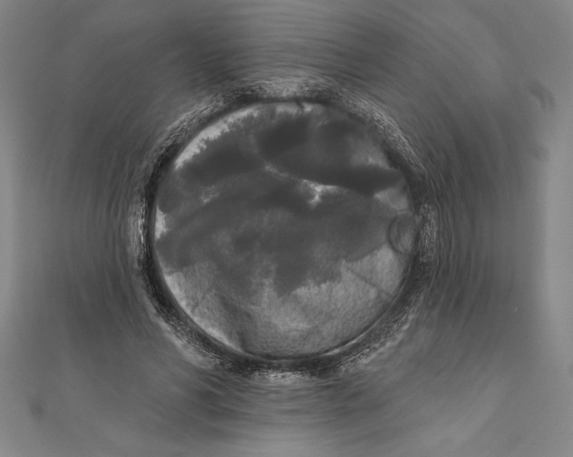 X0000111000590200907101454