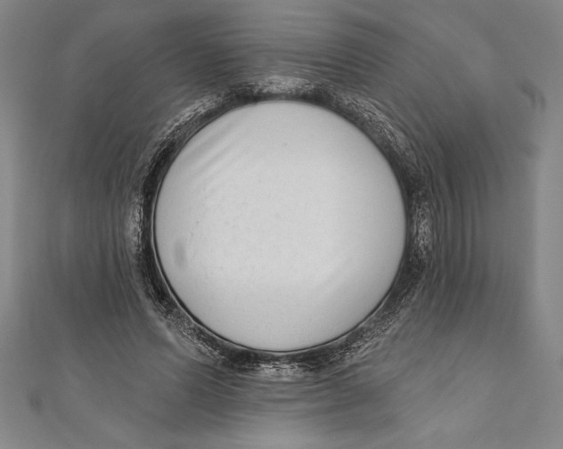 X0000111000591200907101454