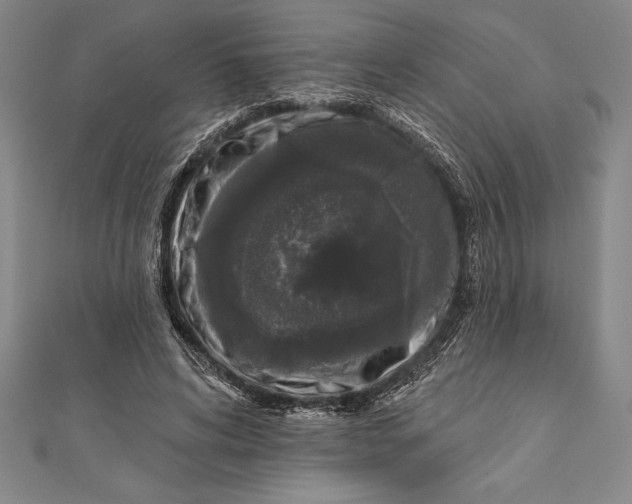 X0000111000592200907101454