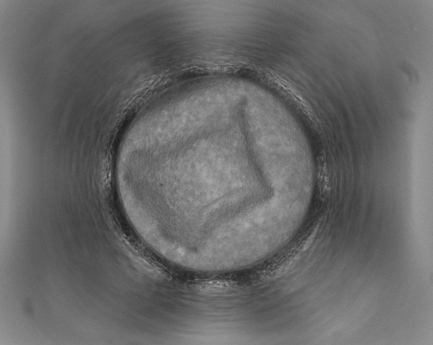 X0000111000593200907101454