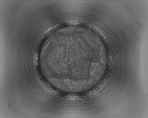 X0000111000596200907101454