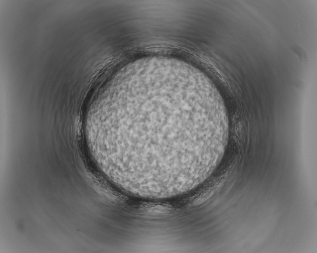 X0000111000597200907101454