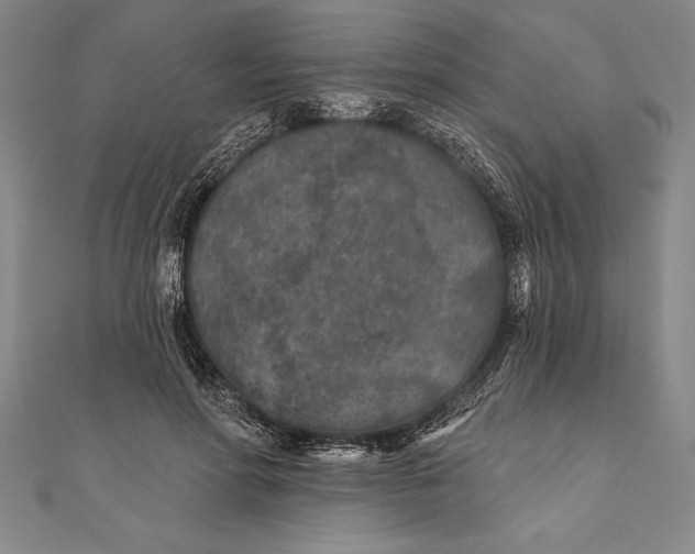 X0000111000598200907101454