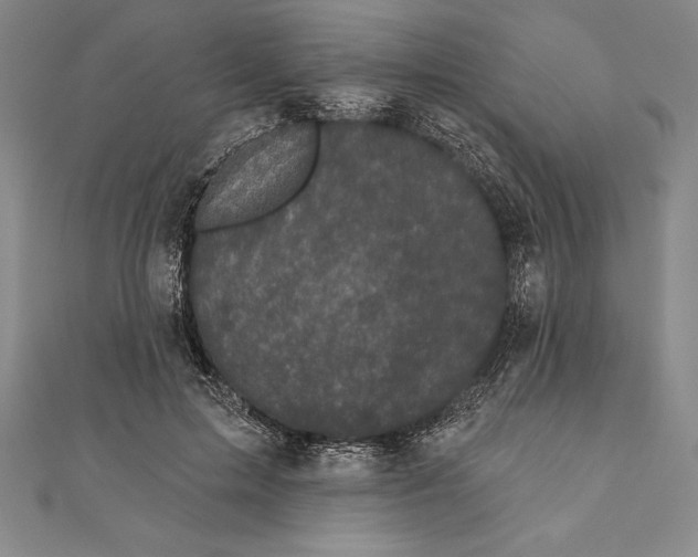 X0000111000599200907101454