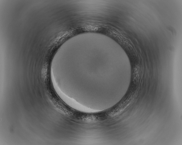 X0000111000600200907101454