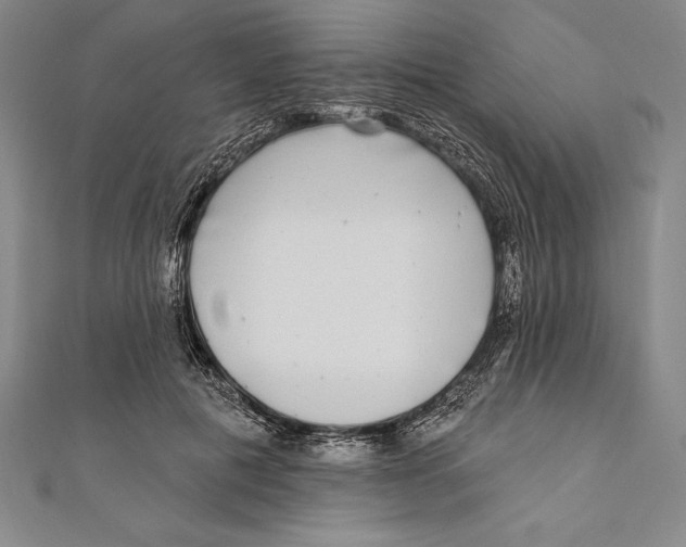 X0000111000601200907101454