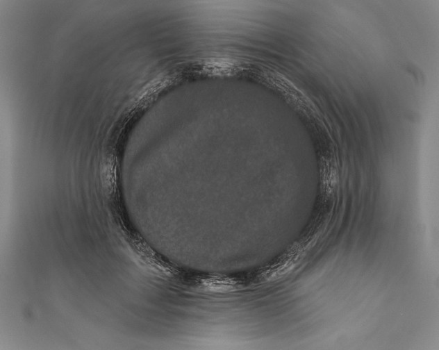 X0000111000603200907101454