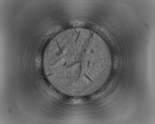 X0000111000604200907101453