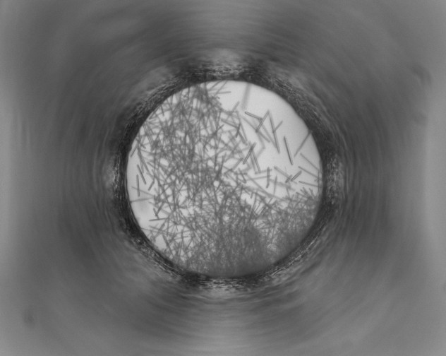 X0000111000608200907101453