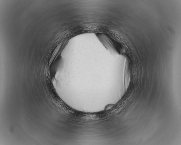 X0000111000609200907101453