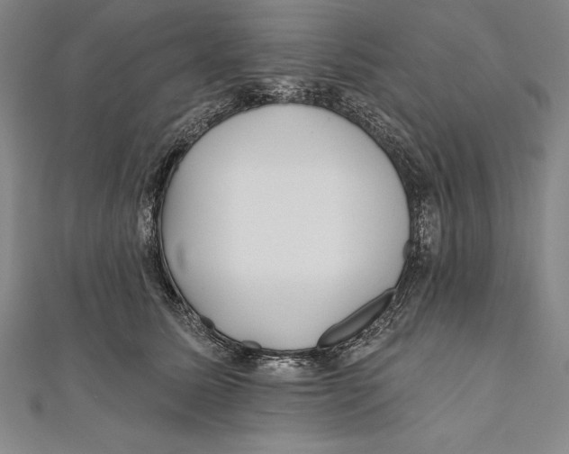 X0000111000611200907101453