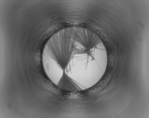 X0000111000612200907101453