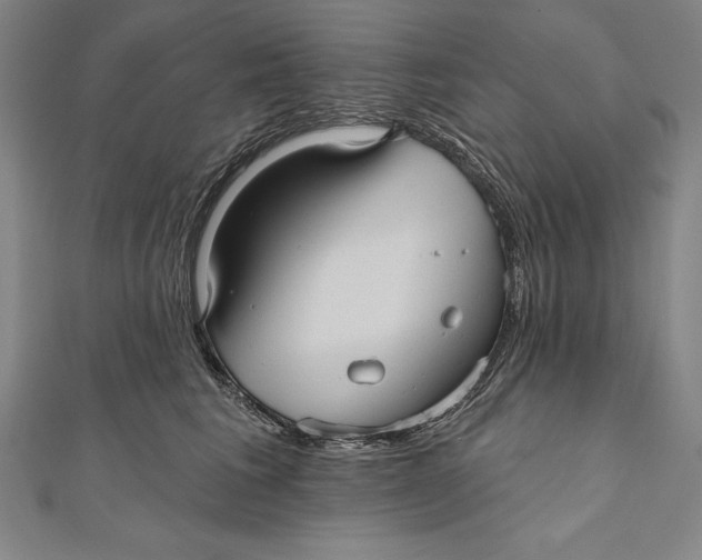 X0000111000613200907101453