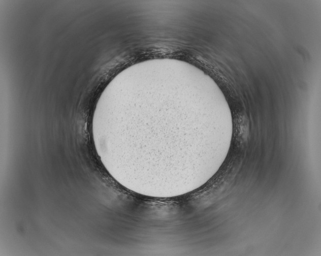 X0000111000615200907101453