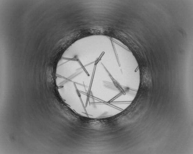 X0000111000616200907101453