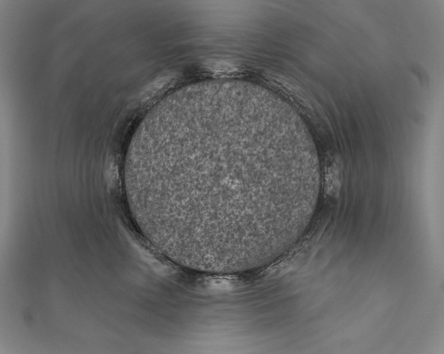 X0000111000618200907101453