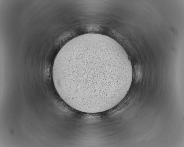 X0000111000619200907101453