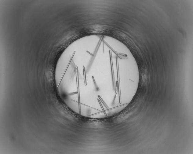 X0000111000620200907101453