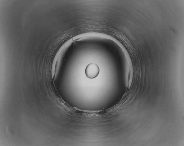 X0000111000621200907101453