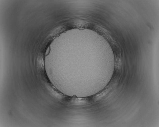 X0000111000622200907101453