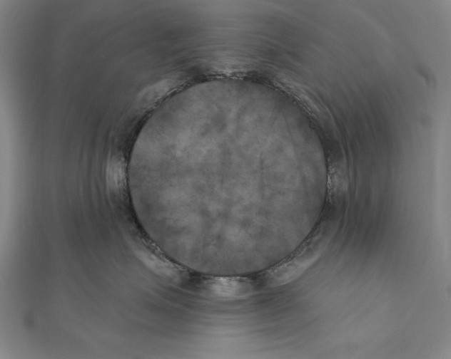 X0000111000623200907101453