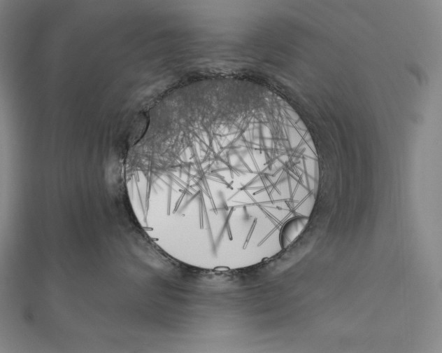 X0000111000624200907101453