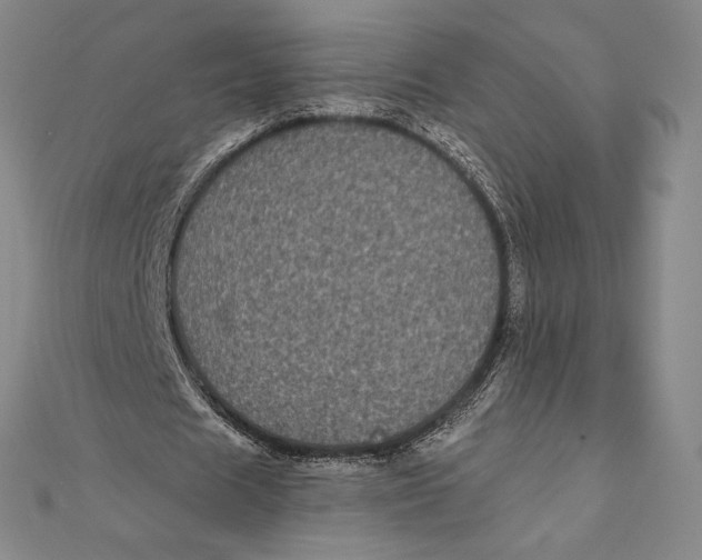 X0000111000625200907101452