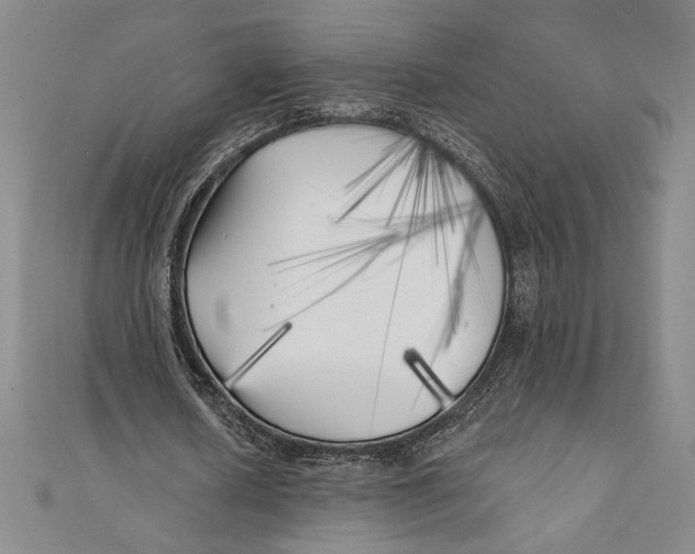 X0000111000626200907101452