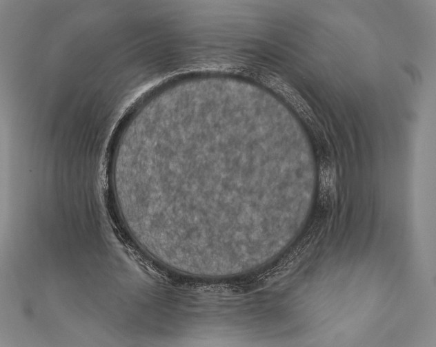 X0000111000628200907101452