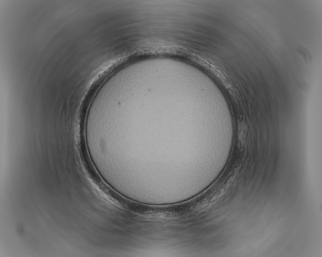 X0000111000629200907101452