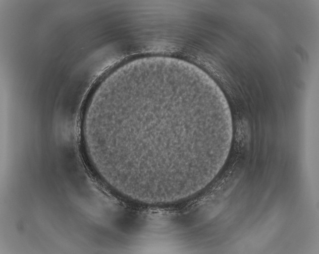 X0000111000632200907101453