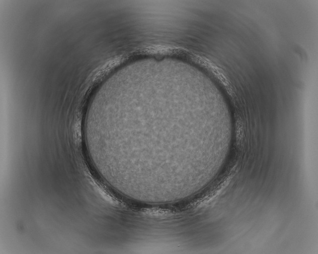 X0000111000633200907101453