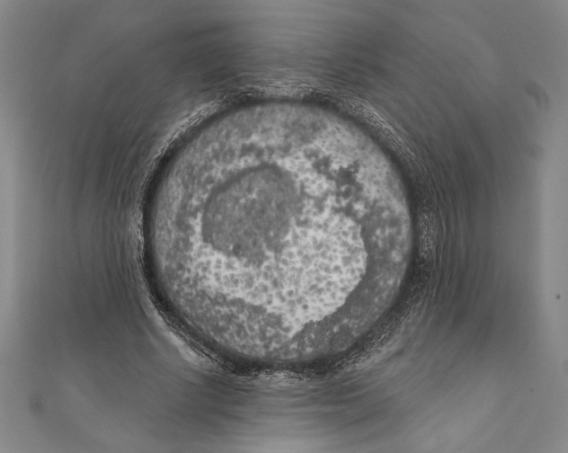 X0000111000634200907101453