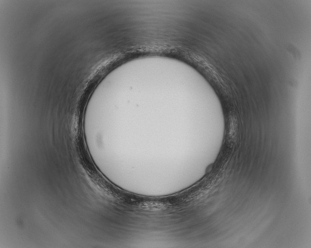 X0000111000636200907101453