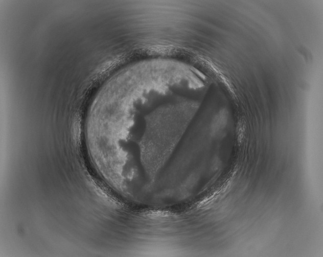 X0000111000637200907101453