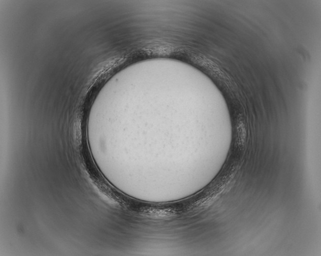 X0000111000638200907101453