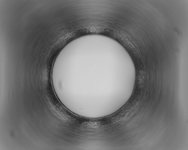 X0000111000639200907101453