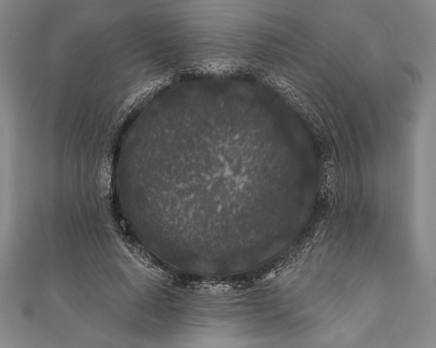 X0000111000640200907101453