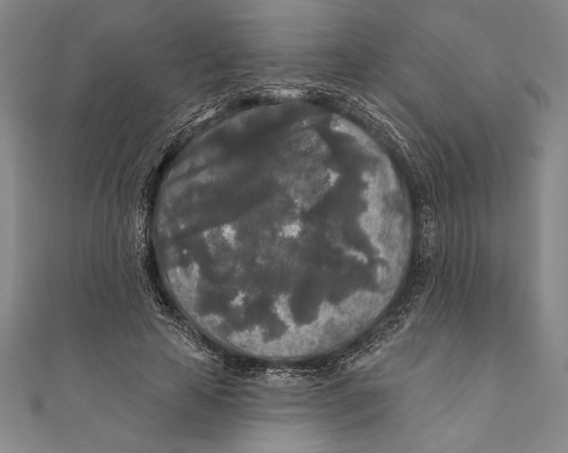 X0000111000641200907101453