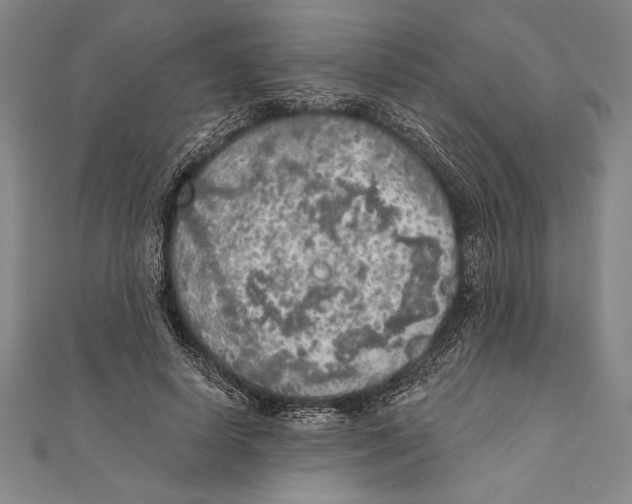 X0000111000642200907101453