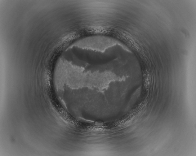 X0000111000643200907101453