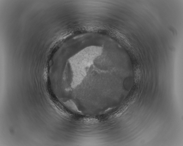 X0000111000644200907101453