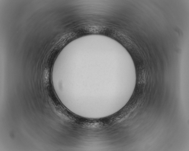 X0000111000646200907101453