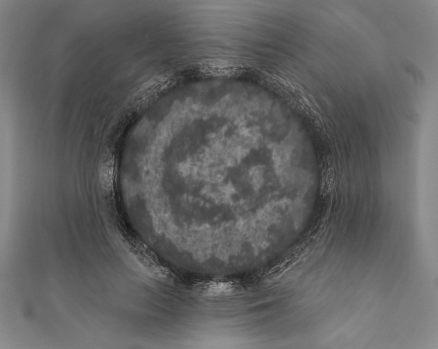 X0000111000647200907101453