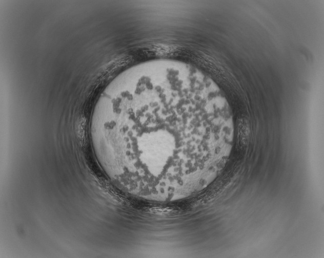 X0000111000650200907101453