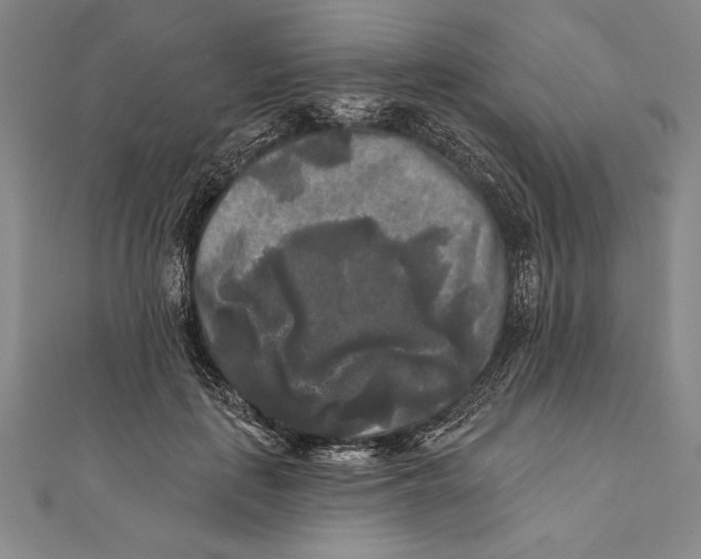 X0000111000651200907101453