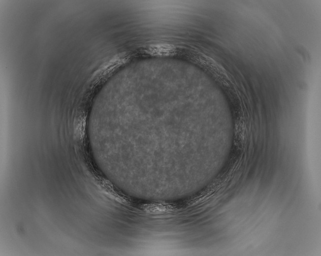 X0000111000652200907101453