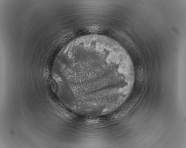 X0000111000653200907101453