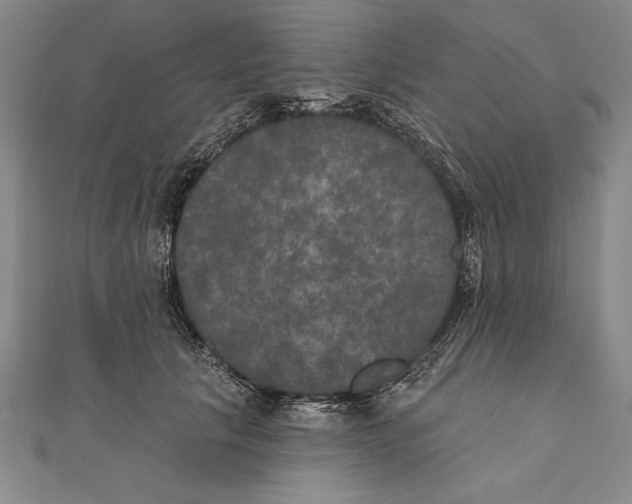 X0000111000657200907101453