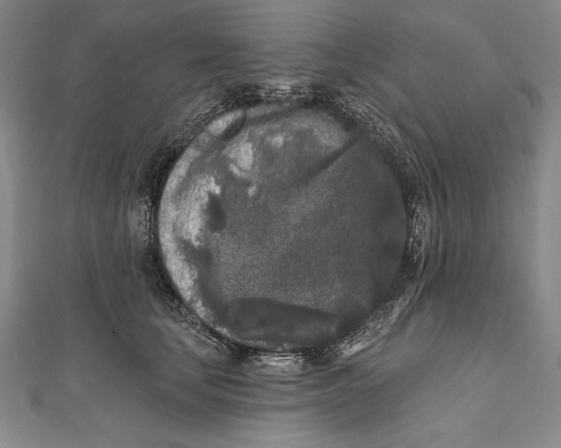 X0000111000659200907101453